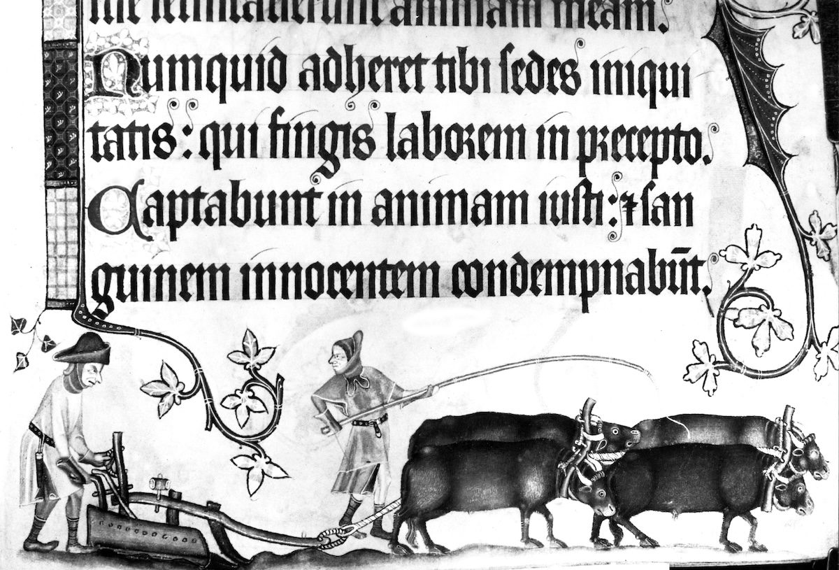 An illustration of Piers Plowman from a 14th-century psalter
