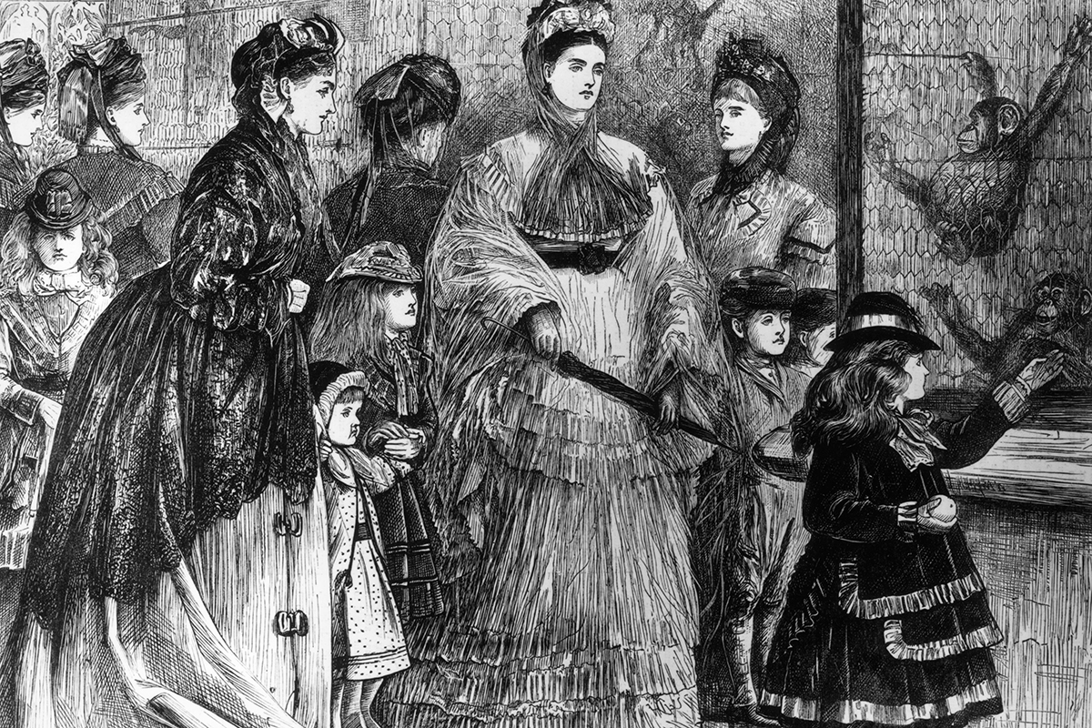 A Victorian black-and-white drawing of two women in very elaborate dresses supervising five little girls in front of a cage with two chimpanzees in it