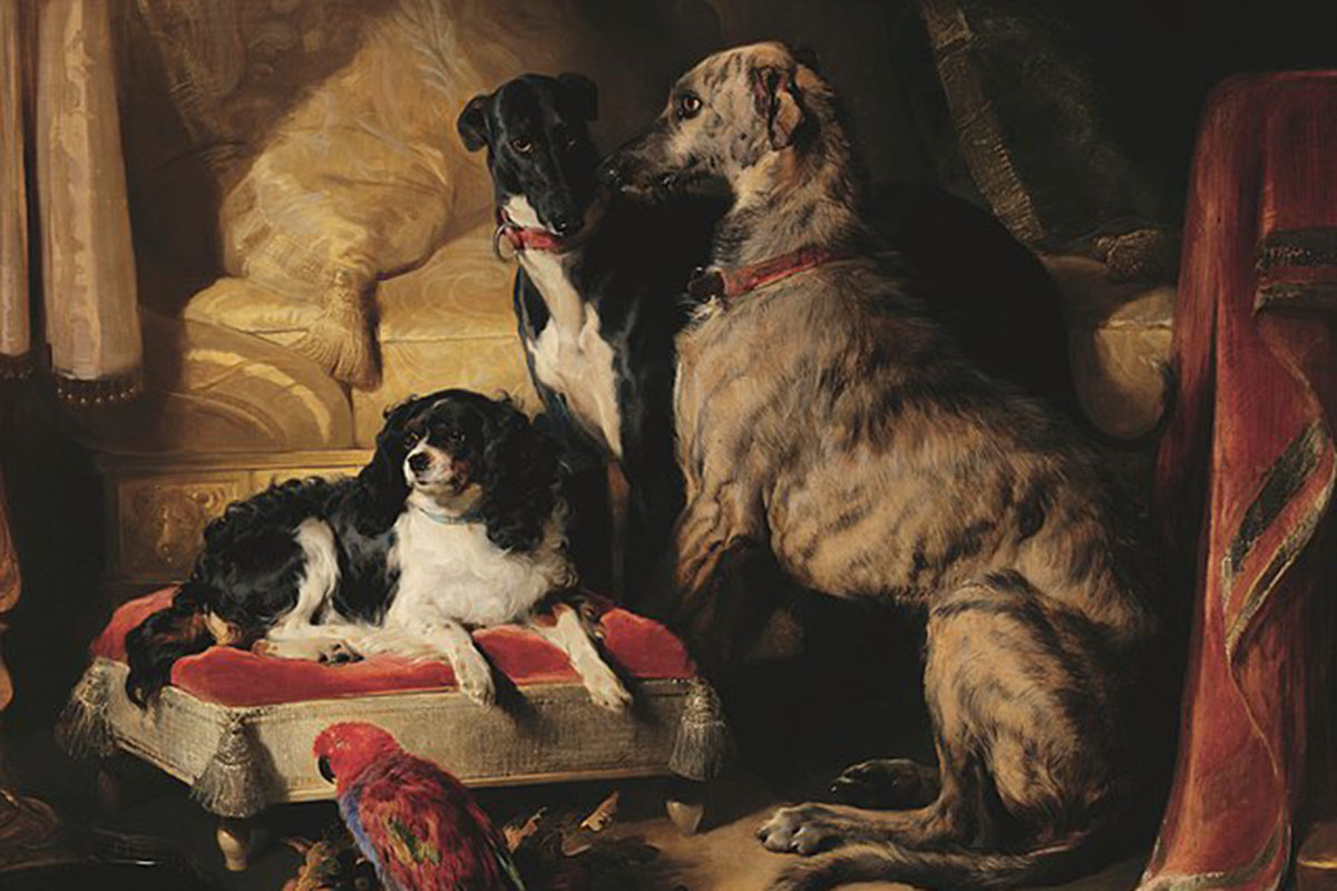 Oil painting showing a red parrot, a spaniel, a grey deerhound and a black greyhound