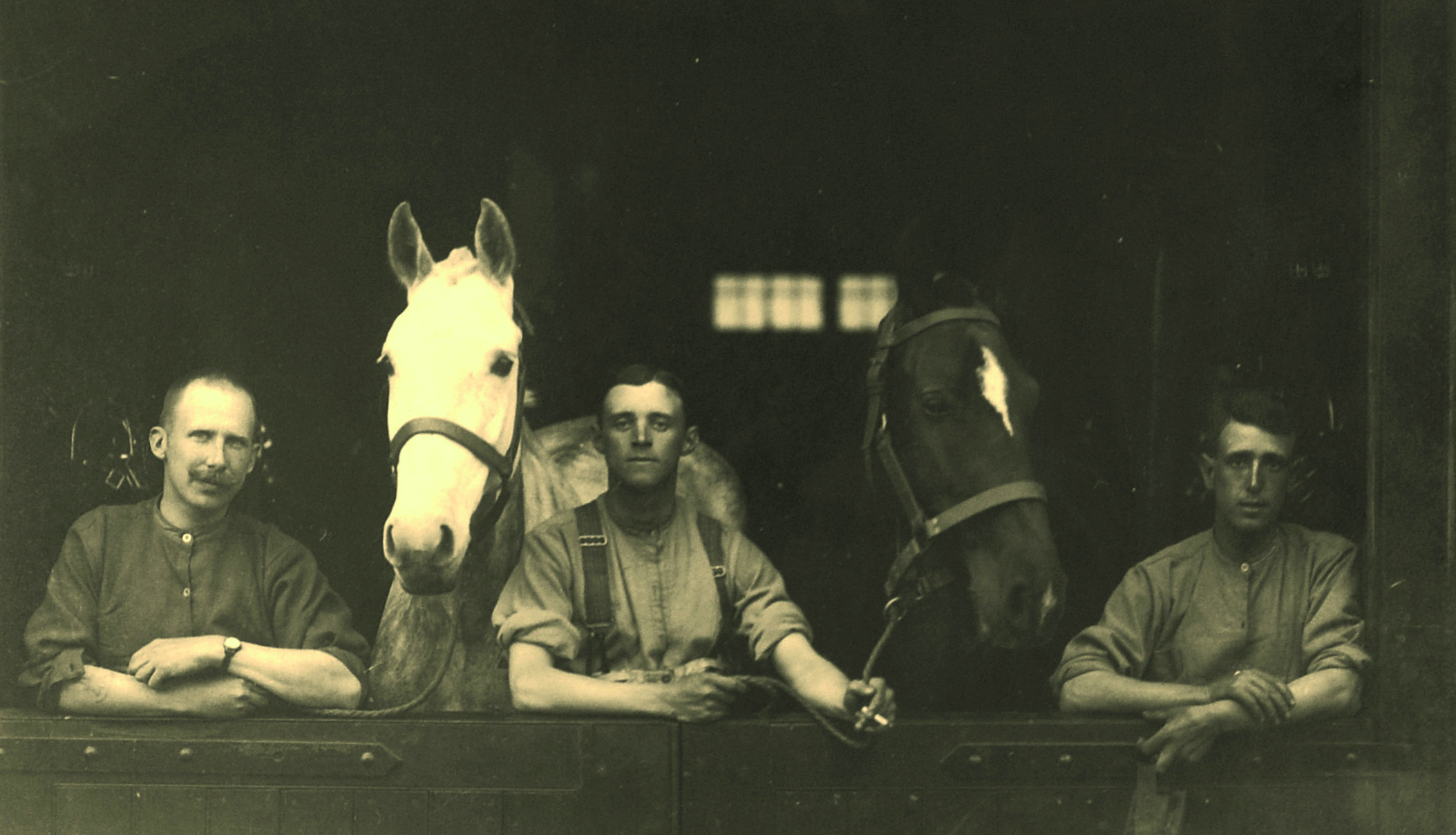 Black and white photograph of three young men standing in a stable with horses