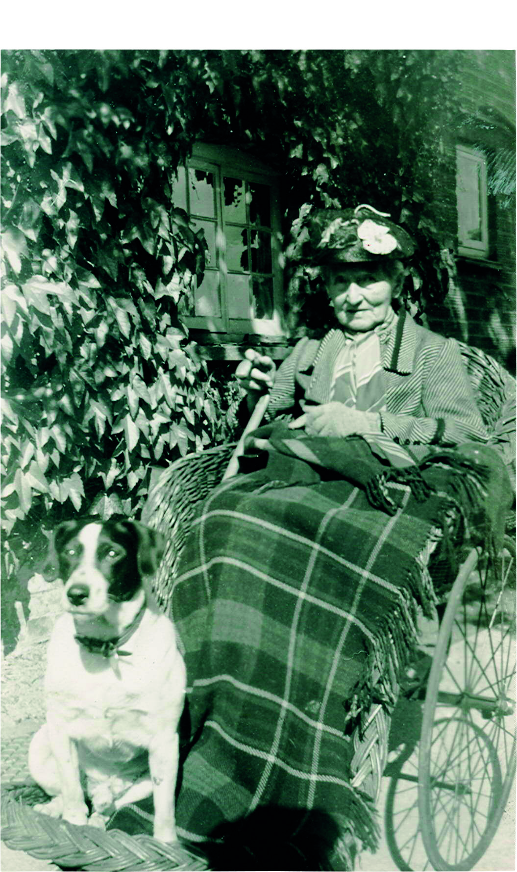 Black and white photograph of an old woman sitting in a chair in a garden with a dog next to her