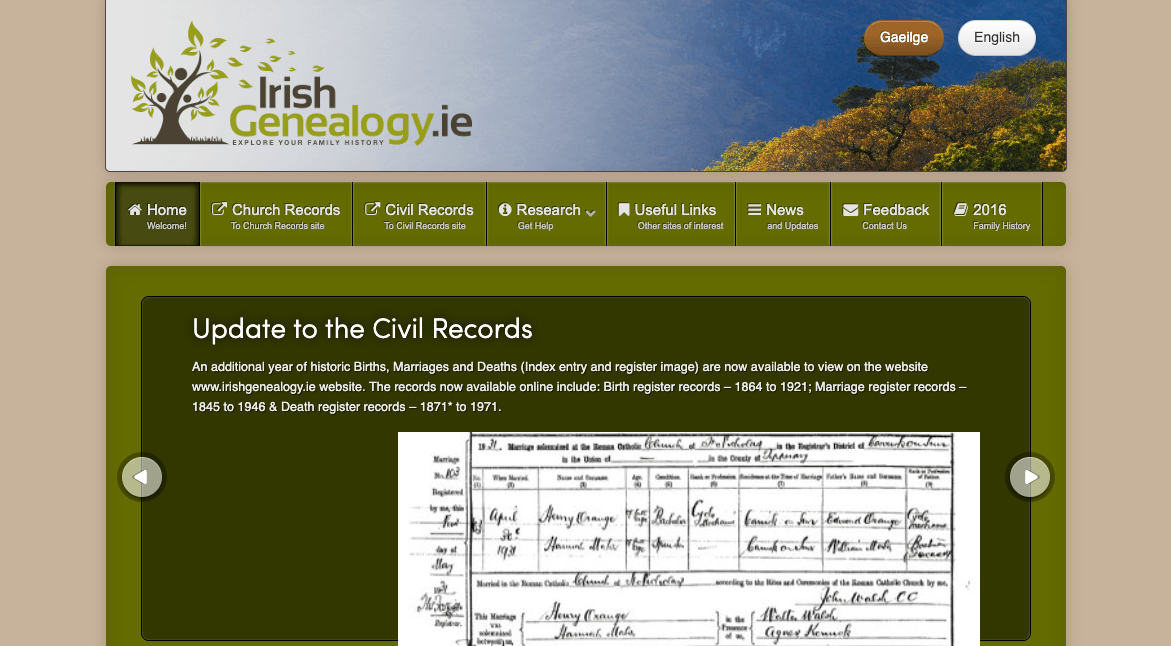 Irish ancestry