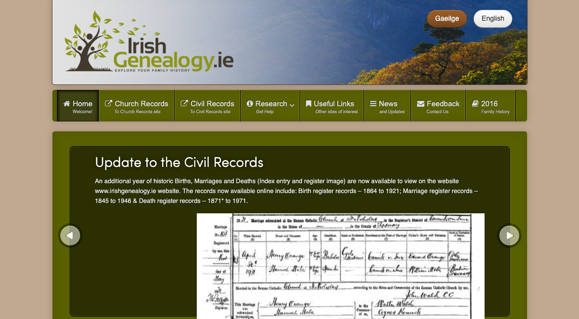 Irish ancestry