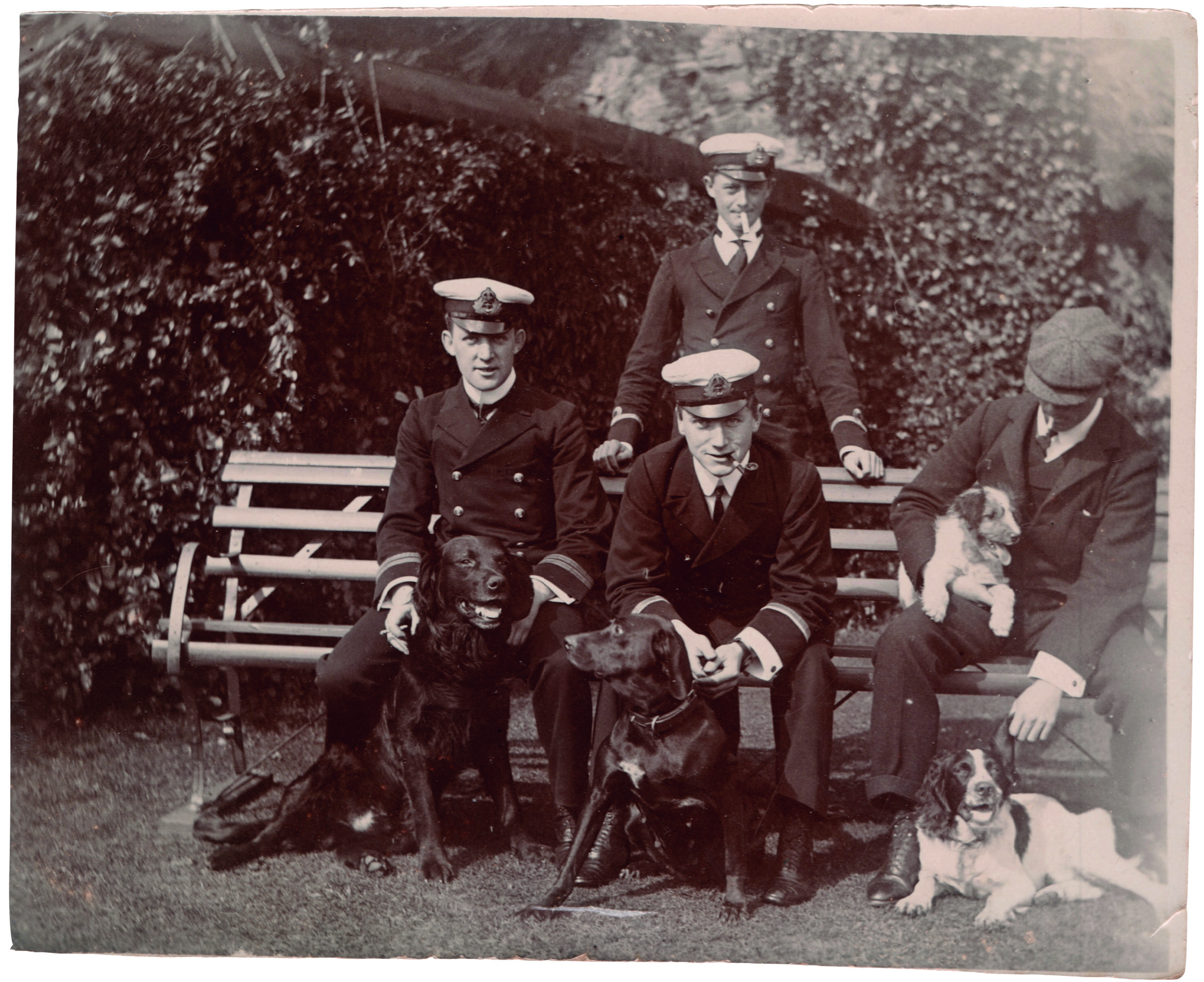 Black and white photograph of four men in Royal Navy uniform, each with a dog